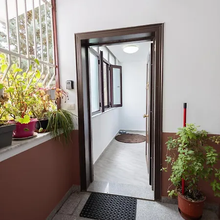 Kler-elegant Ali Demi