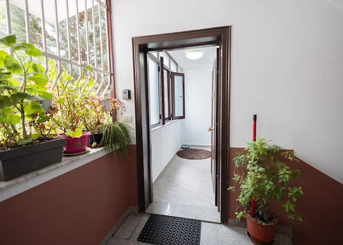 Kler-elegant Ali Demi